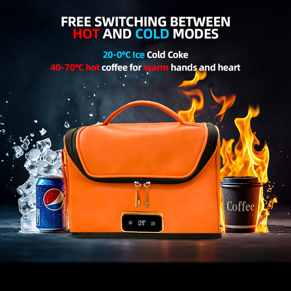 4L 차량용 냉장고 미니 쿨러 & 워머 냉장고 12V/ - Outdoor Camping Fridge 리뷰 및 가격