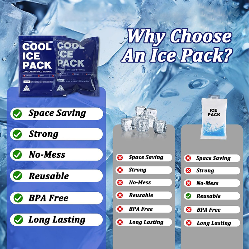 10개 재사용 가능 아이스팩, 도시락 가방용, 24시간 - Outdoor Camping Fridge 리뷰 및 가격